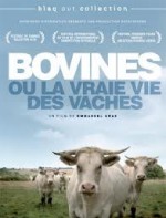 Image Bovines