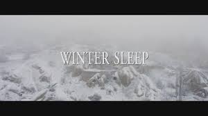 Winter sleep