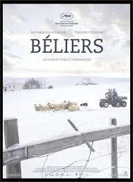 Béliers 1